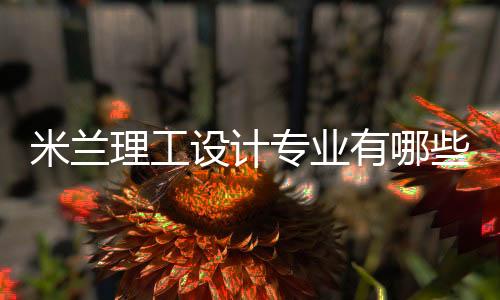 米兰理工设计专业有哪些?