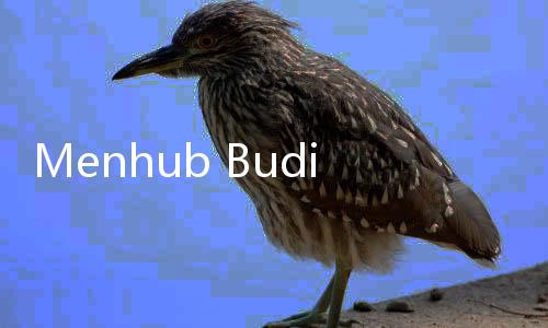 Menhub Budi Karya Kenalkan Logo Harhubnas 2024, Lambangkan Kesuburan dan Kemakmuran Bangsa Indonesia