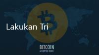 Lakukan Trik Ini untuk Komunikasi dengan Kucing Kesayangan