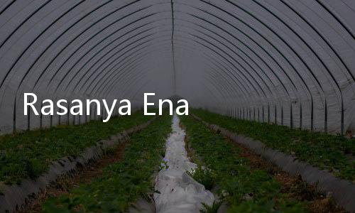 Rasanya Enak, Tapi Waspada Efek Samping Makan Singkong Rebus Ini